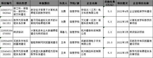 5个项目名单